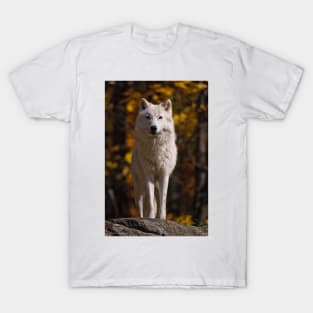 Arctic Wolf T-Shirt